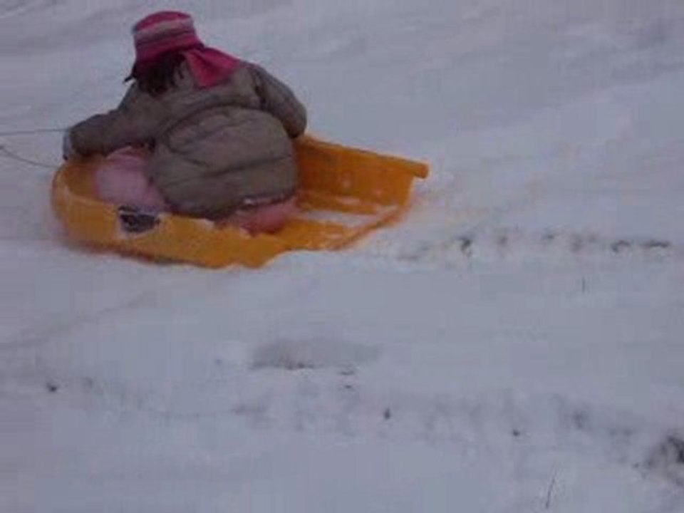 Quad-bob
