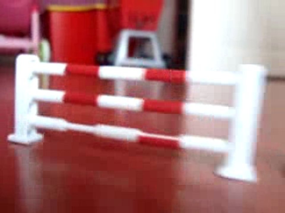 Parcours paerçu