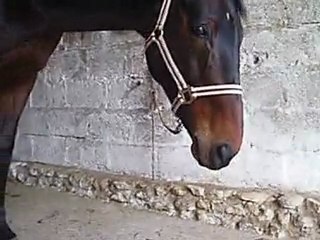 Heda pas patiente avec son joujou