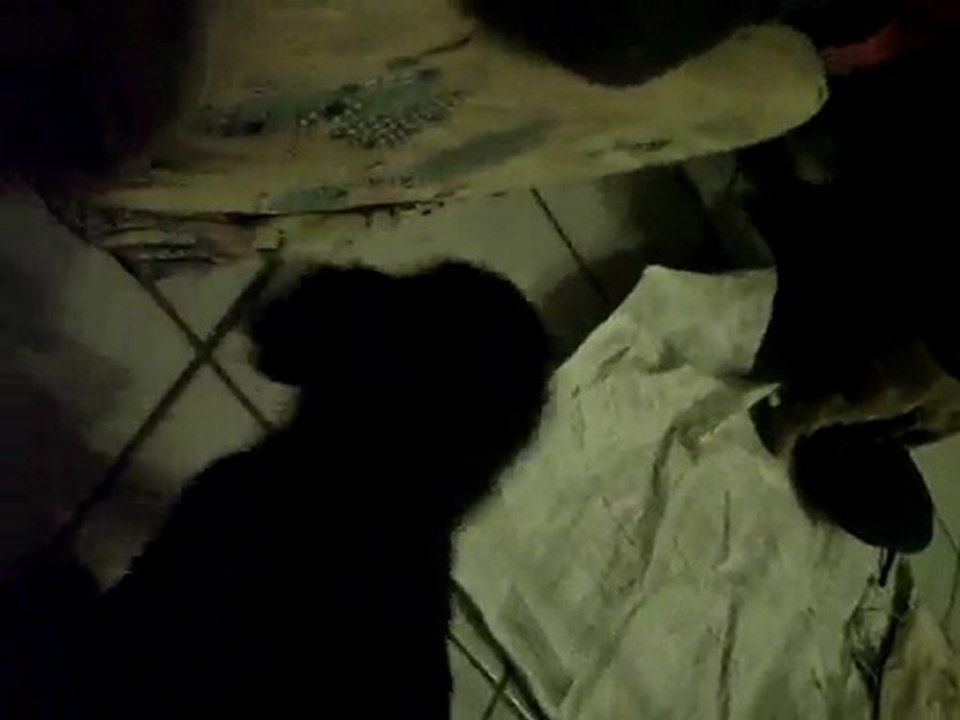 CLIP0042ECLIPSE010210