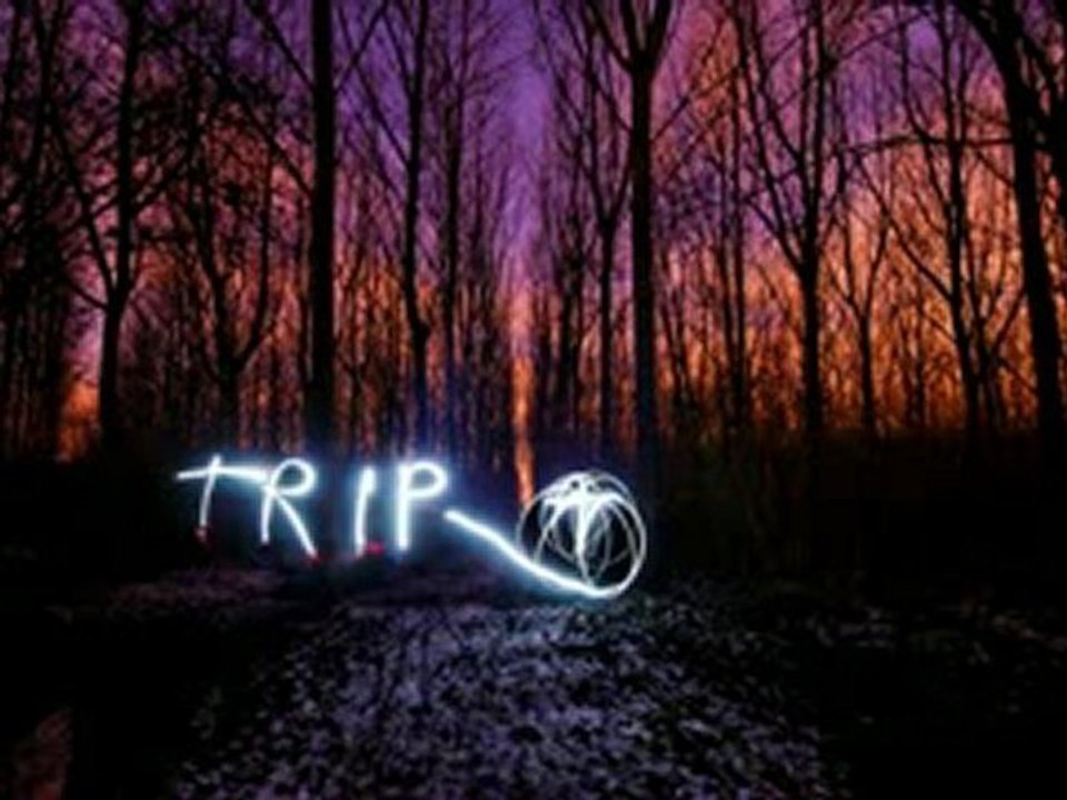 Forest § Trip