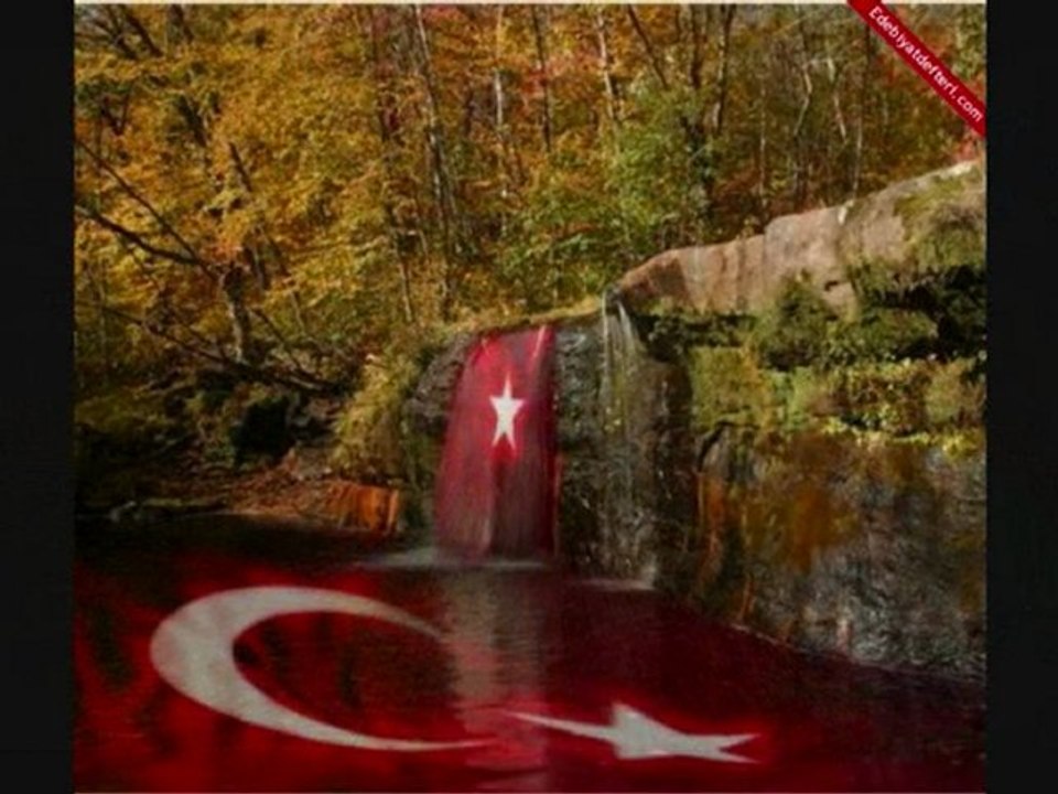 Cevizin yapragi turkusu