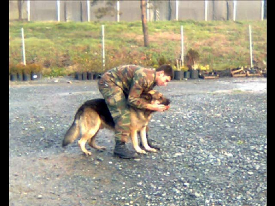 329 kısa dönem