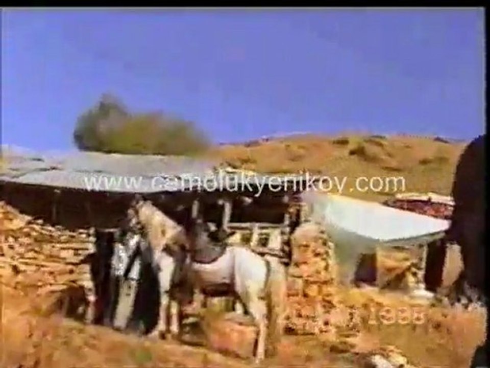 1998 yeniköy yayla şenliği