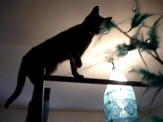 mya dans tout ses états!