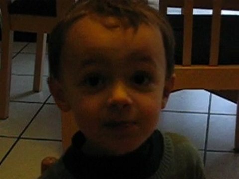 0043 Petit lapin plein de poils