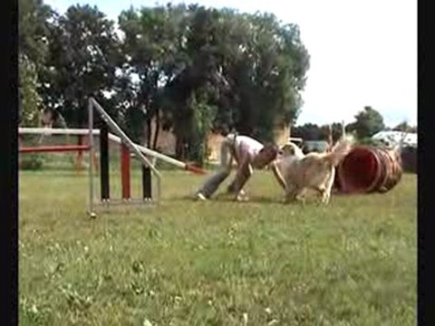 année 2009 apie agility OOOOOOOoooo... AAAAaaaaahhh....