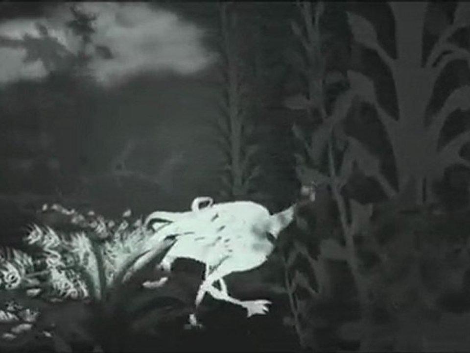 Frolic by Megan Turnbull