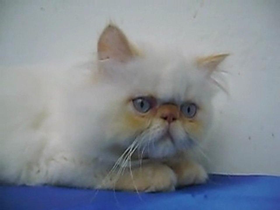 Grimper_Aldana