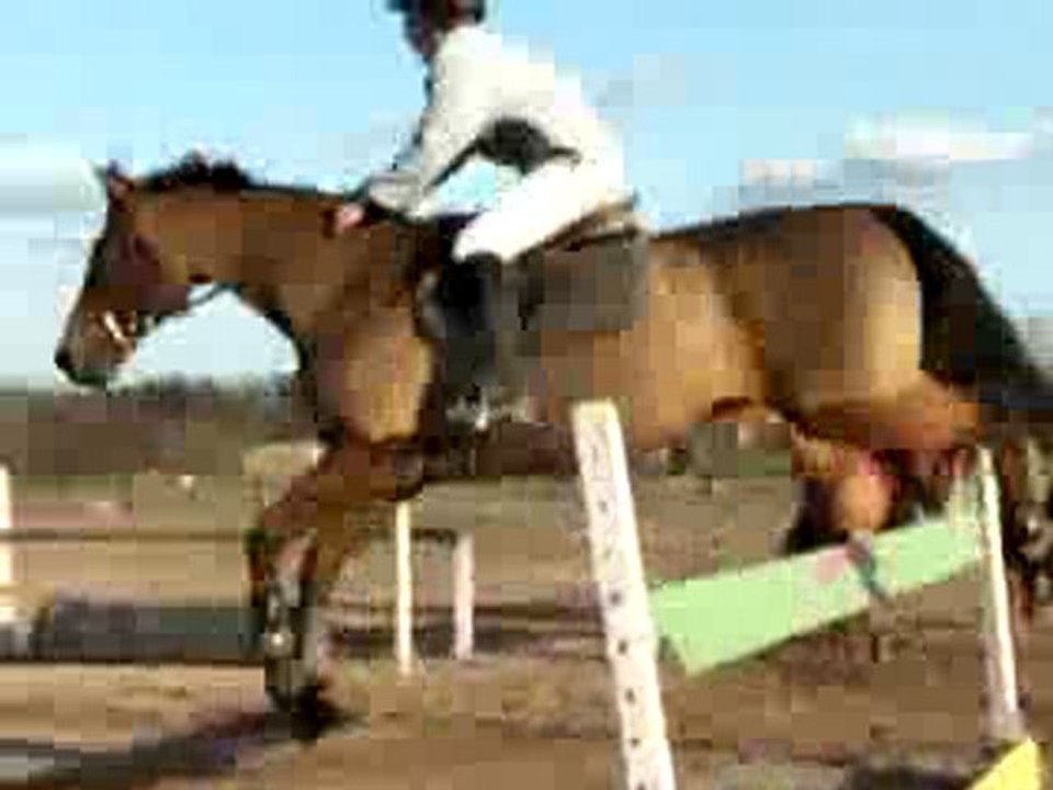 2 FEVRIER 2010 MARTINE 1