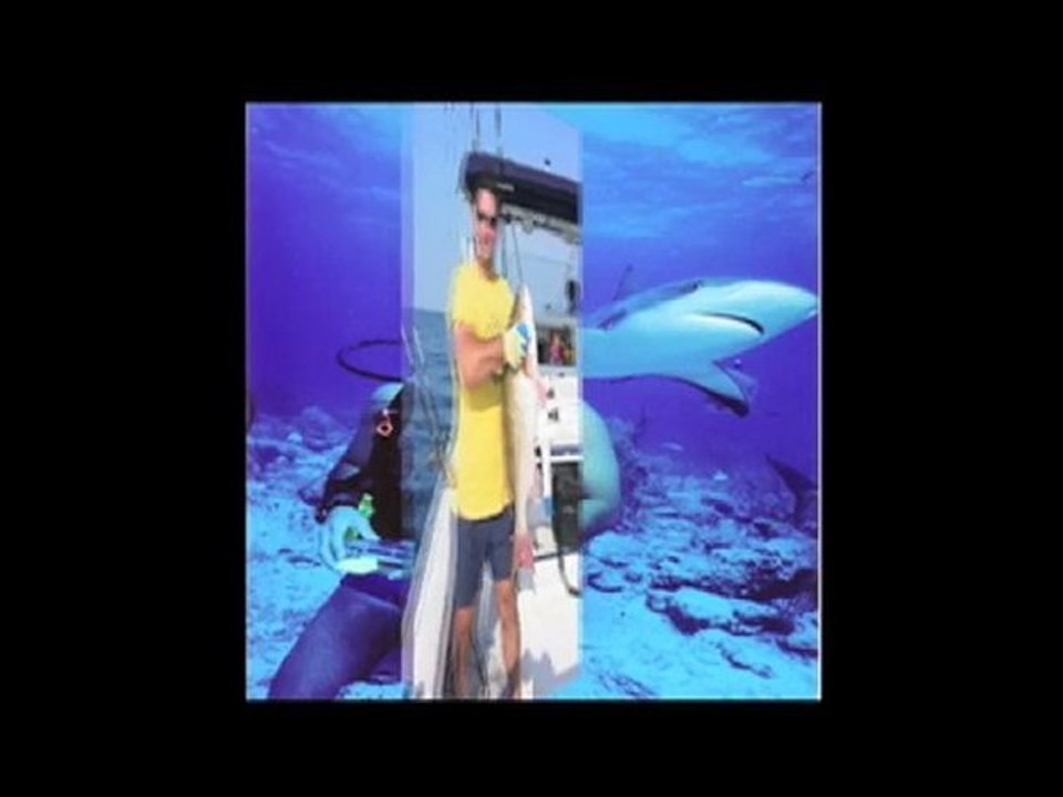 Welcome to NH ALIVE!