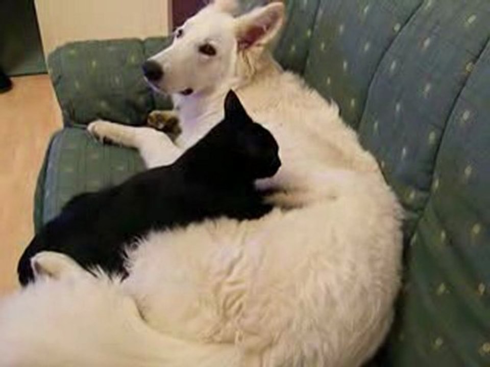 Un p'tit massage?