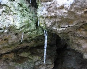 Forêt de Rombas en Hivers