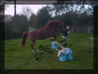 Saut avec Bella
