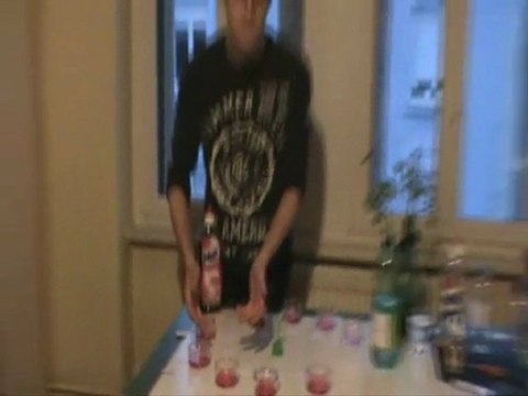 exp 2 résultats finaux