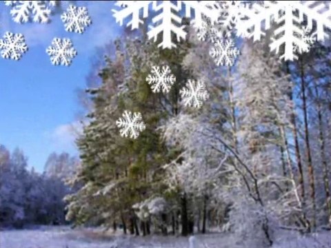 BO MNIE ZIMA SIĘ NIE IMA-LESZCZE