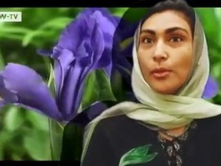 Young Global Leaders – Part 5: Departure | Global 3000