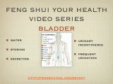 Feng Shui Health Tips for Incontinence