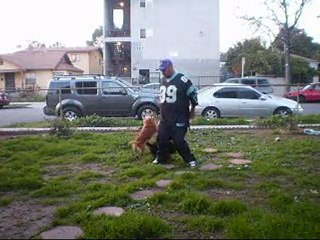 poppin wizard is getting down