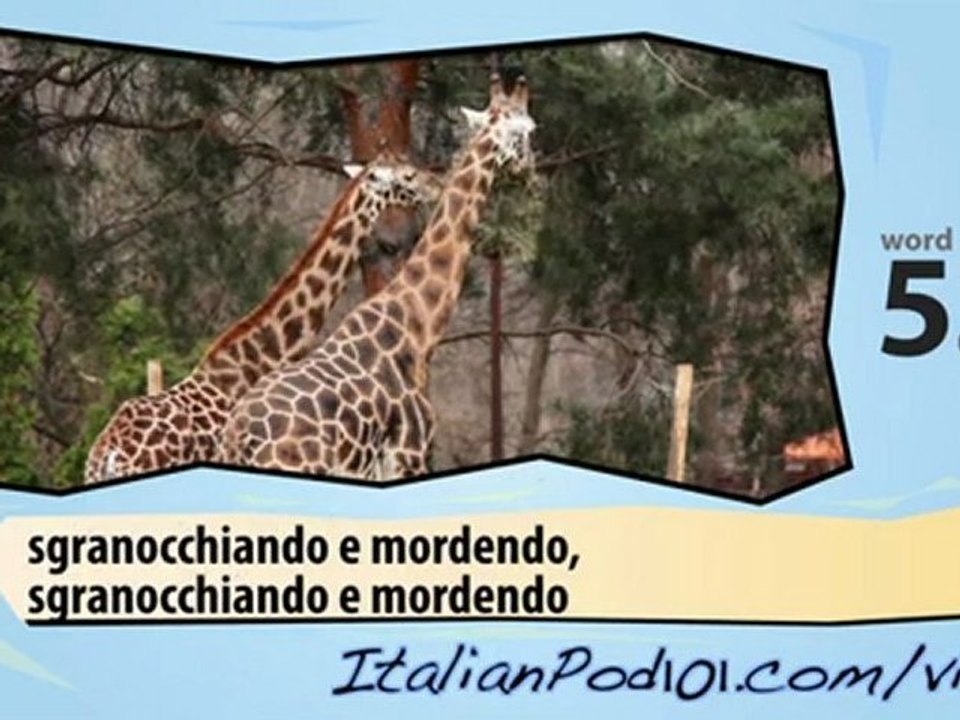 Learn Italian - Learn with Italian Safari Videos