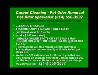 Plano carpet cleaning Factors To Consider When Choosing Carp