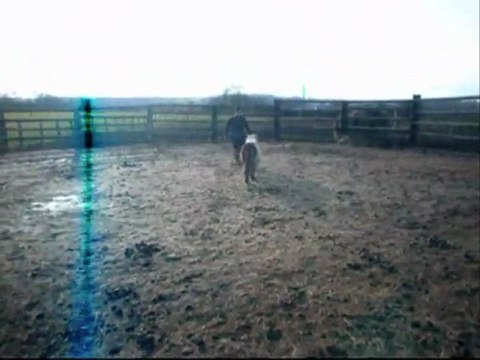 1ere séance en liberté avec Vodka
