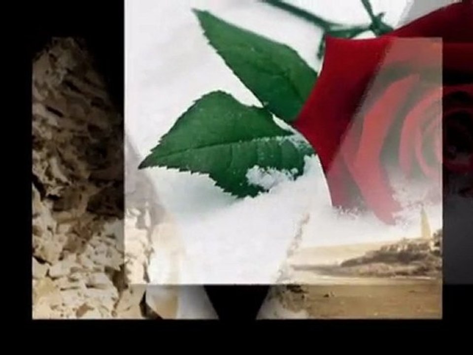 YILDIZELİ RAP YARALI