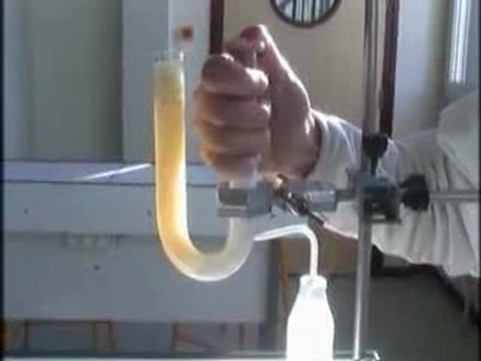 Modélisation éruption effusive