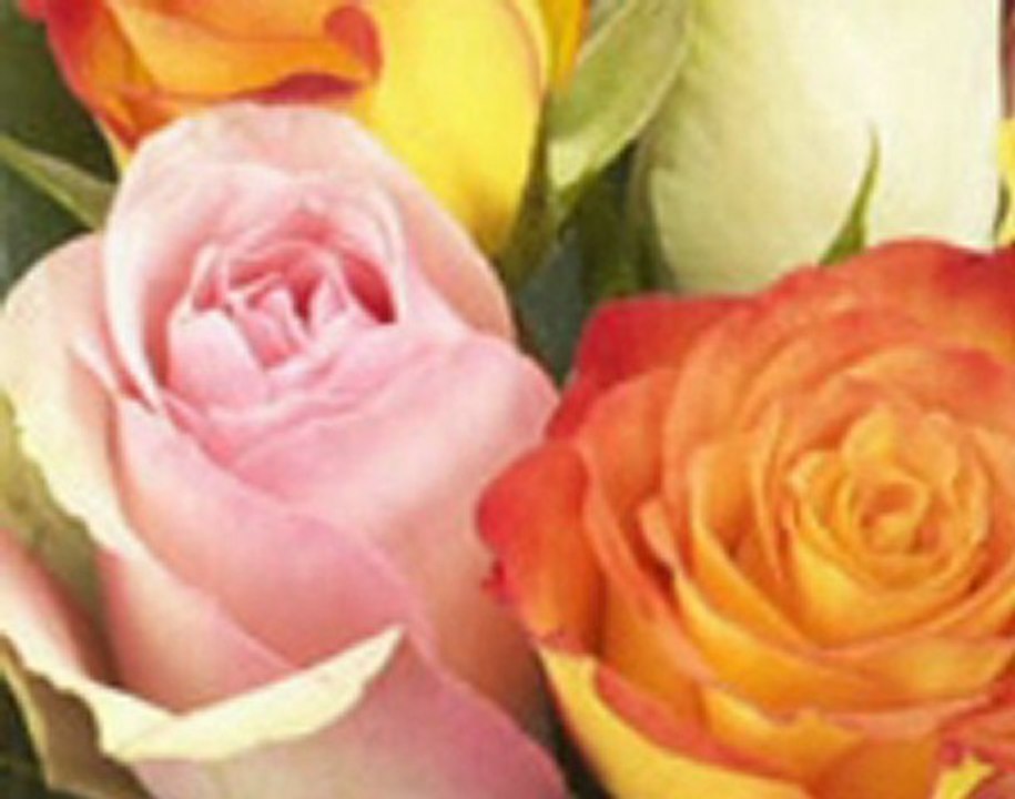 Saint Valentin,pensez y!!