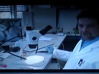 Contamination 2 l'eau stagnante dans une bouteille plastique