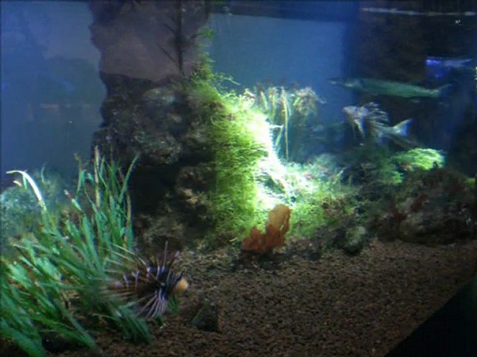 Boulogne sur Mer - Nausicaa 2010 part 1