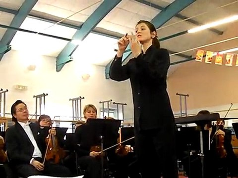 Grandvilliers : l'orchestre de Picardie au collège