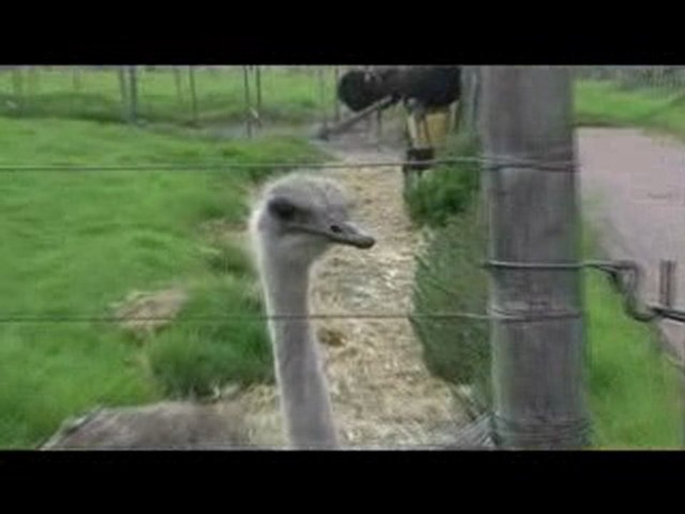 South Africa windsurfing 2010