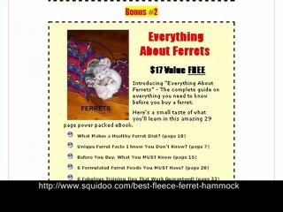 Best Ferret Guide - Fleece Ferret Hammock