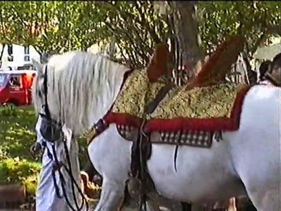 ANDREE RAYBAUD LA PRISE de TOULON  par BONAPARTE