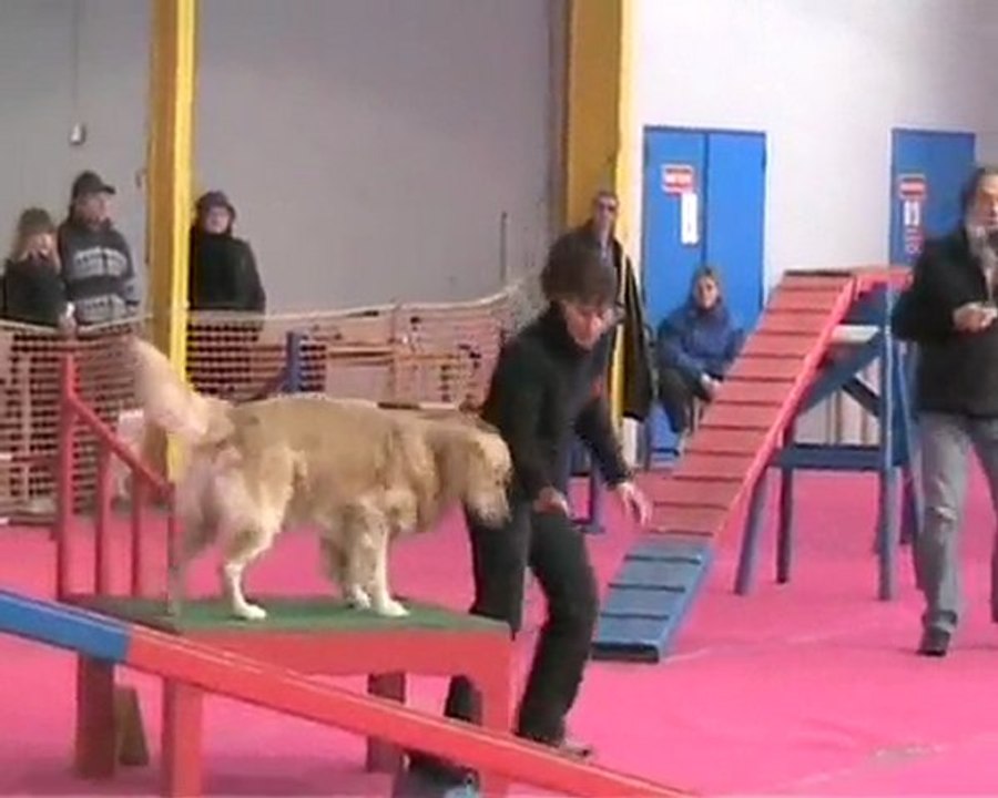 Concours agility Woincourt (3) 2010