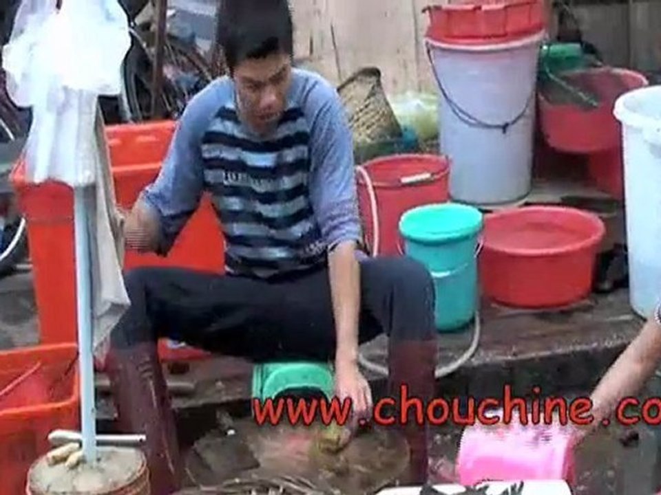 J+60 chaozhou : Balade