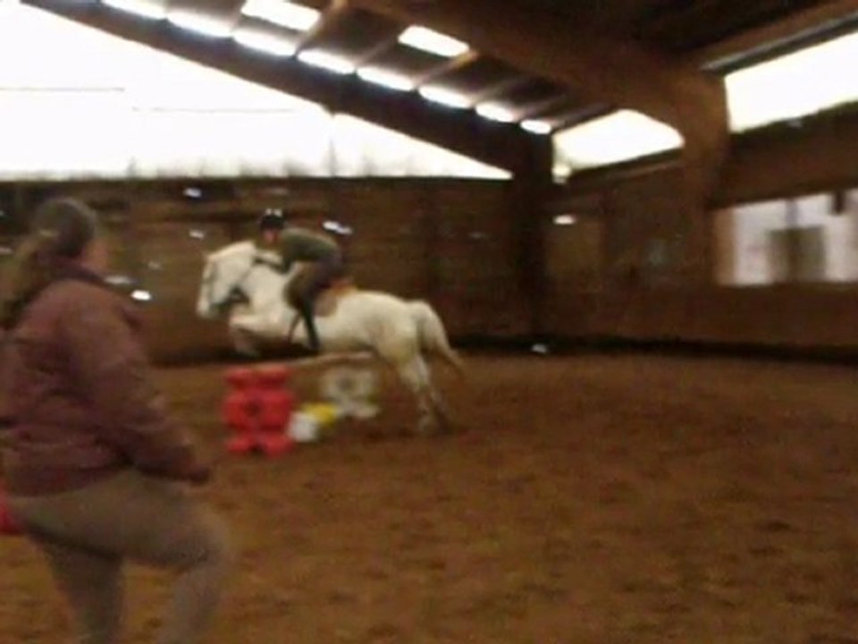 Gipsy King et moi - séance de saut - 30 janvier 2010