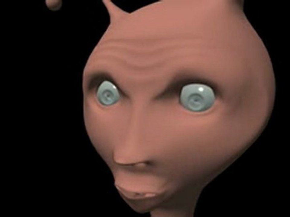 Facerobot test.