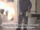 Carpet Cleaning Portland Oregon Cleaning Process