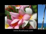 Kauai Vacation Condo Rentals