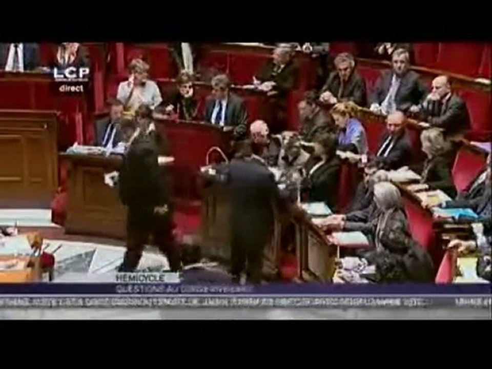 Sylvia PINEL Question au gouvernement