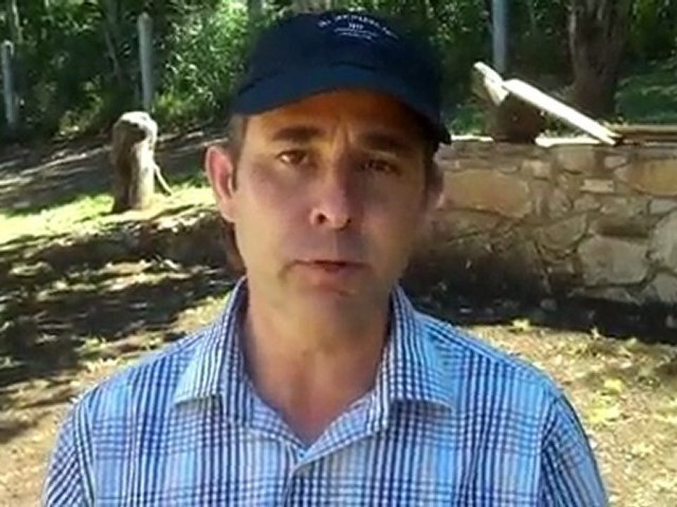 Essential Software Tips To Boost Your Internet Business