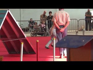 c'ven open agility FIM09