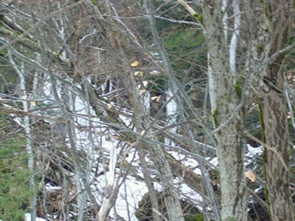 3video sur la neige