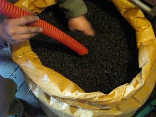 Insufflation de granulés de liège (Aspiration)