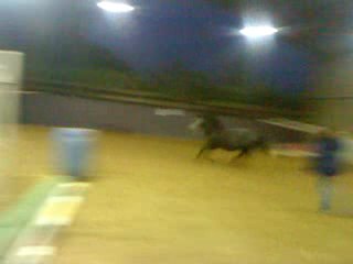 Premier obstacle droit main gauche