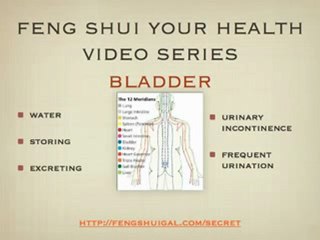 Feng Shui Your Health Video Series: Bladder