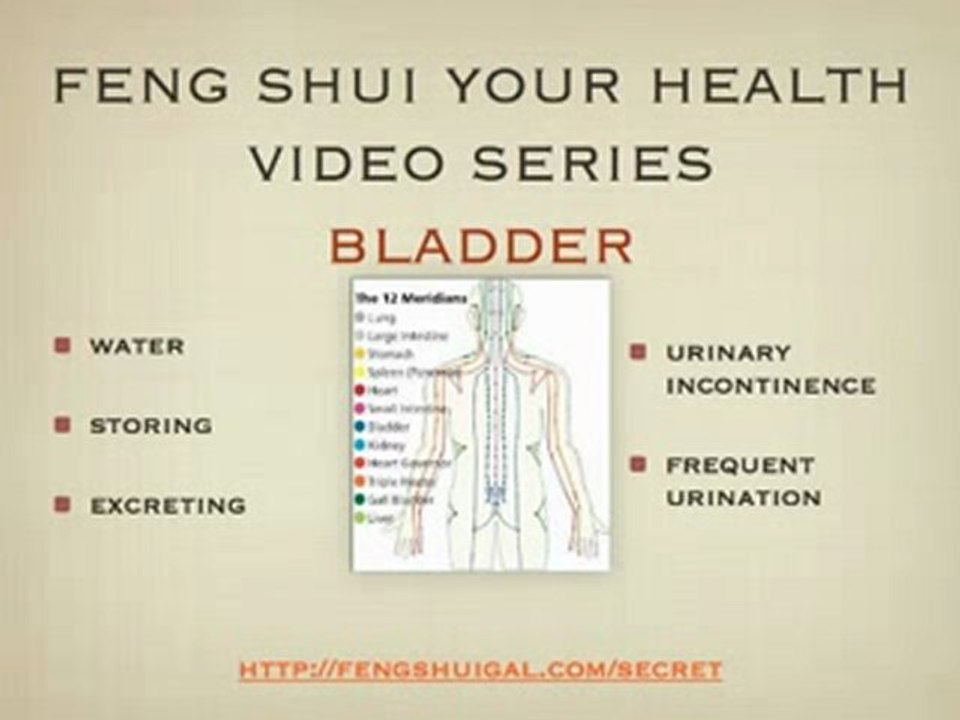 Feng Shui Your Health Video Series: Bladder