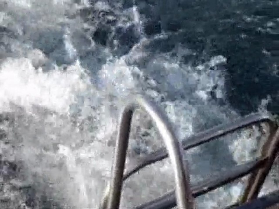 kuşadası balık avı,boğaz macerası